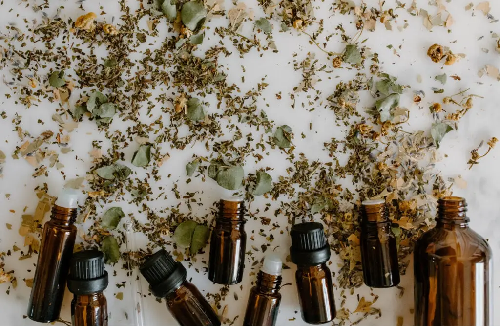 bachblueten-kraeuter-flaschen-